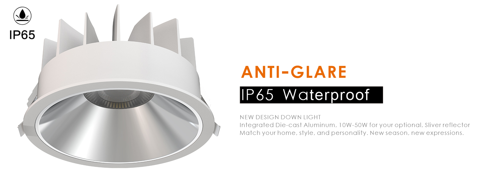 D2159 IP65 Downlight